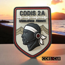 CTA-CODIS 2A